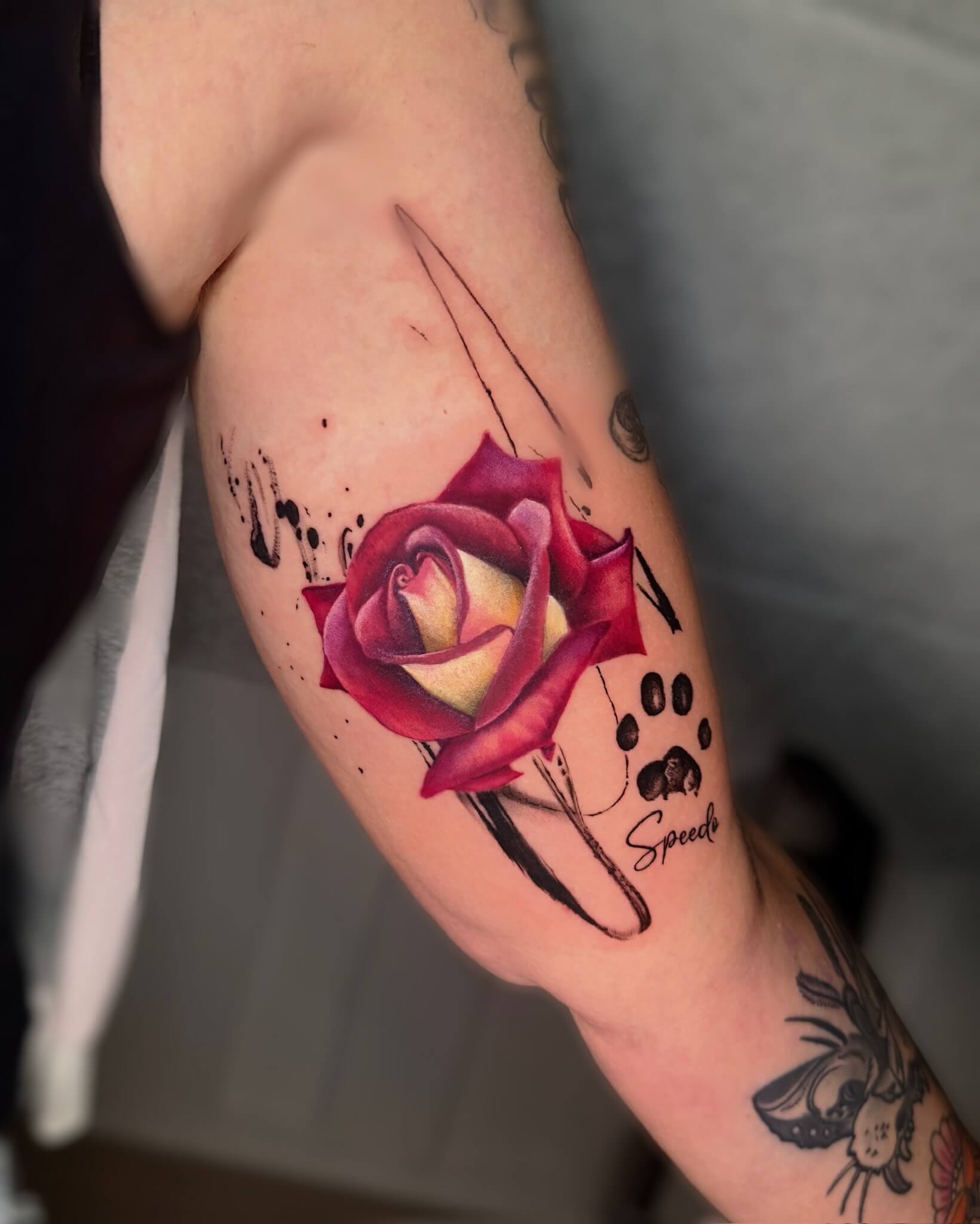 Facetune_17-12-2025-06-53-57